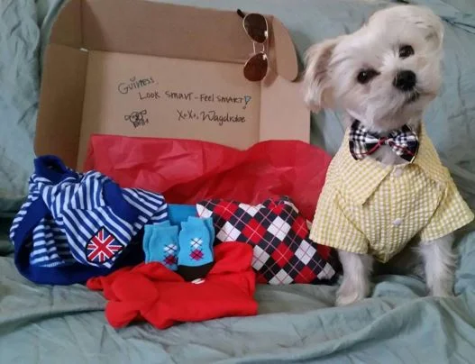 I think this Wagdrobe box makes me look suave, no?