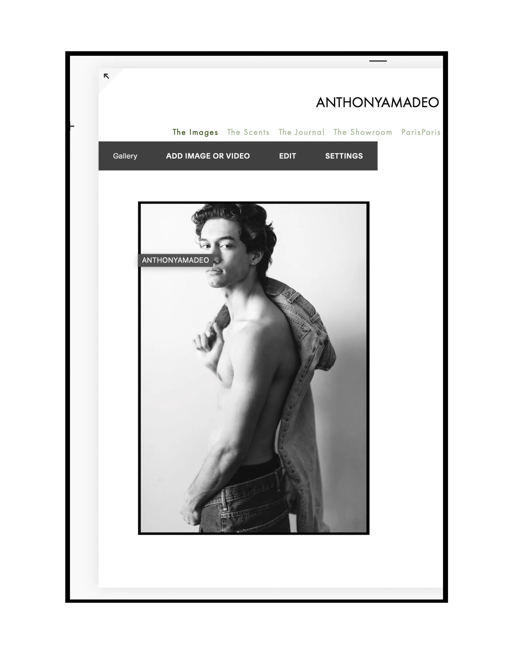 Portrait by Anthony Amadeo