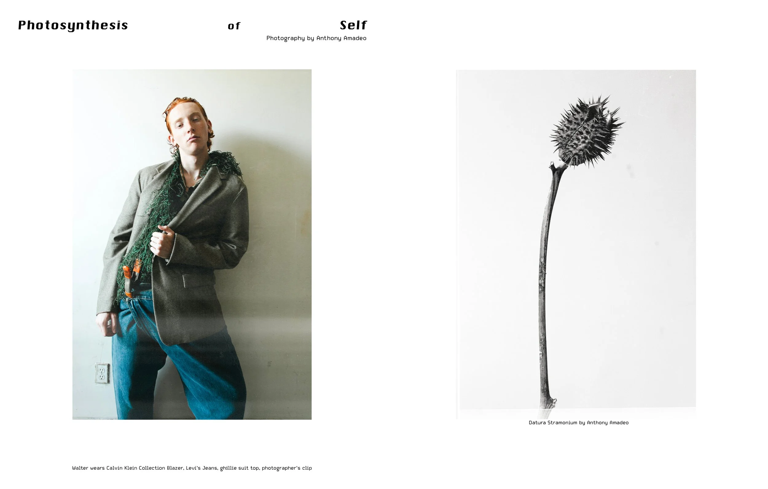 TheJournalSummerIssuepage26.jpg
