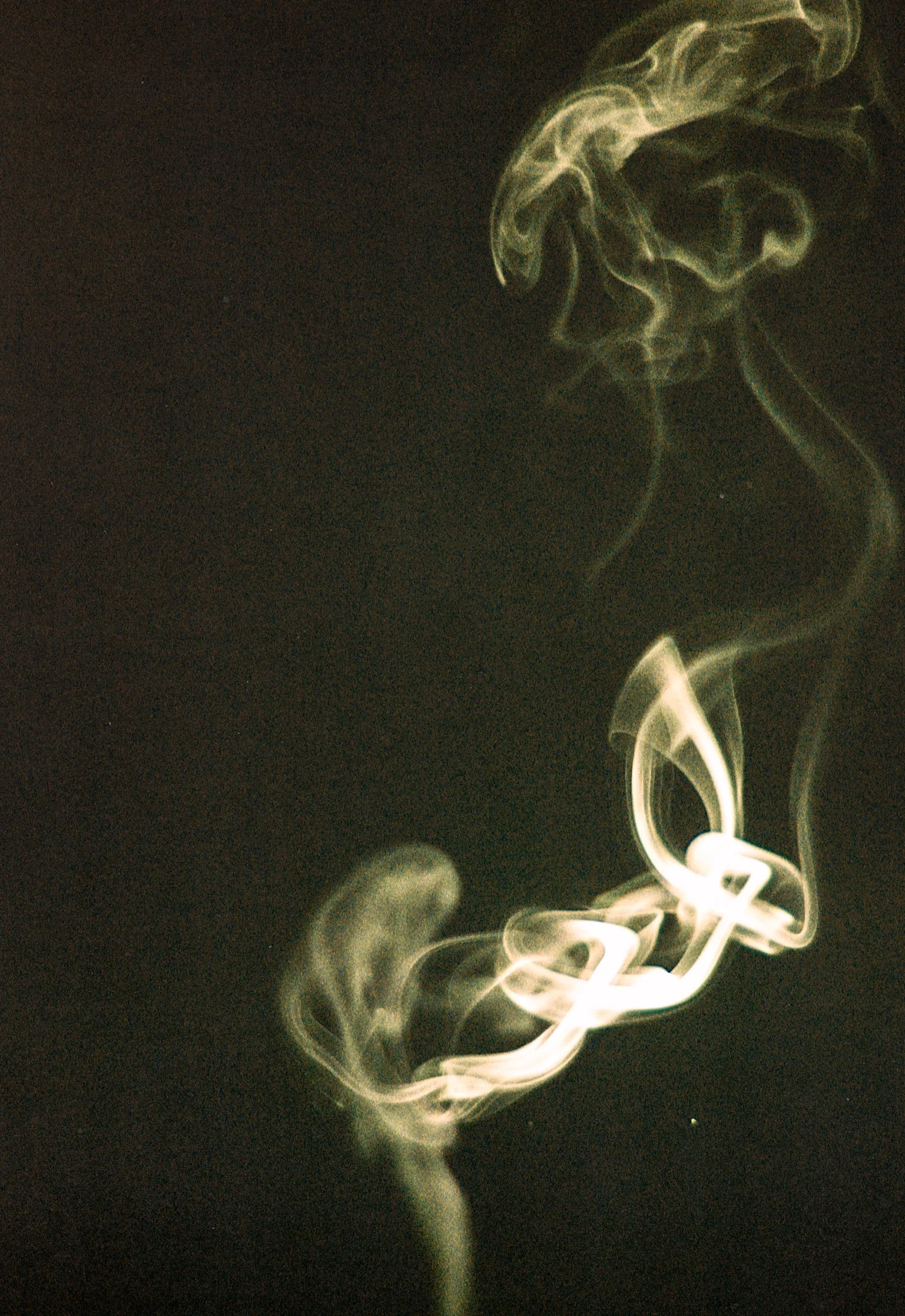 N32.jpg