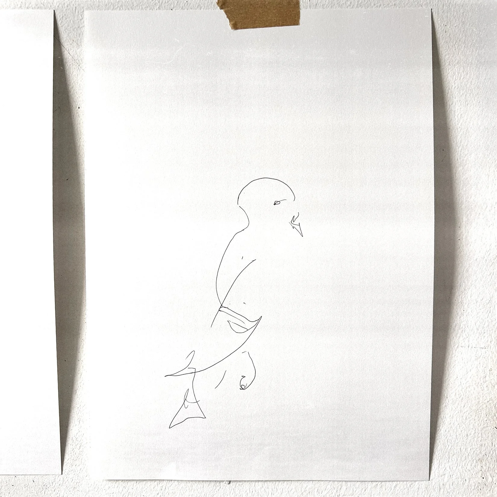 Pigeons by Anthony Amadeo #1