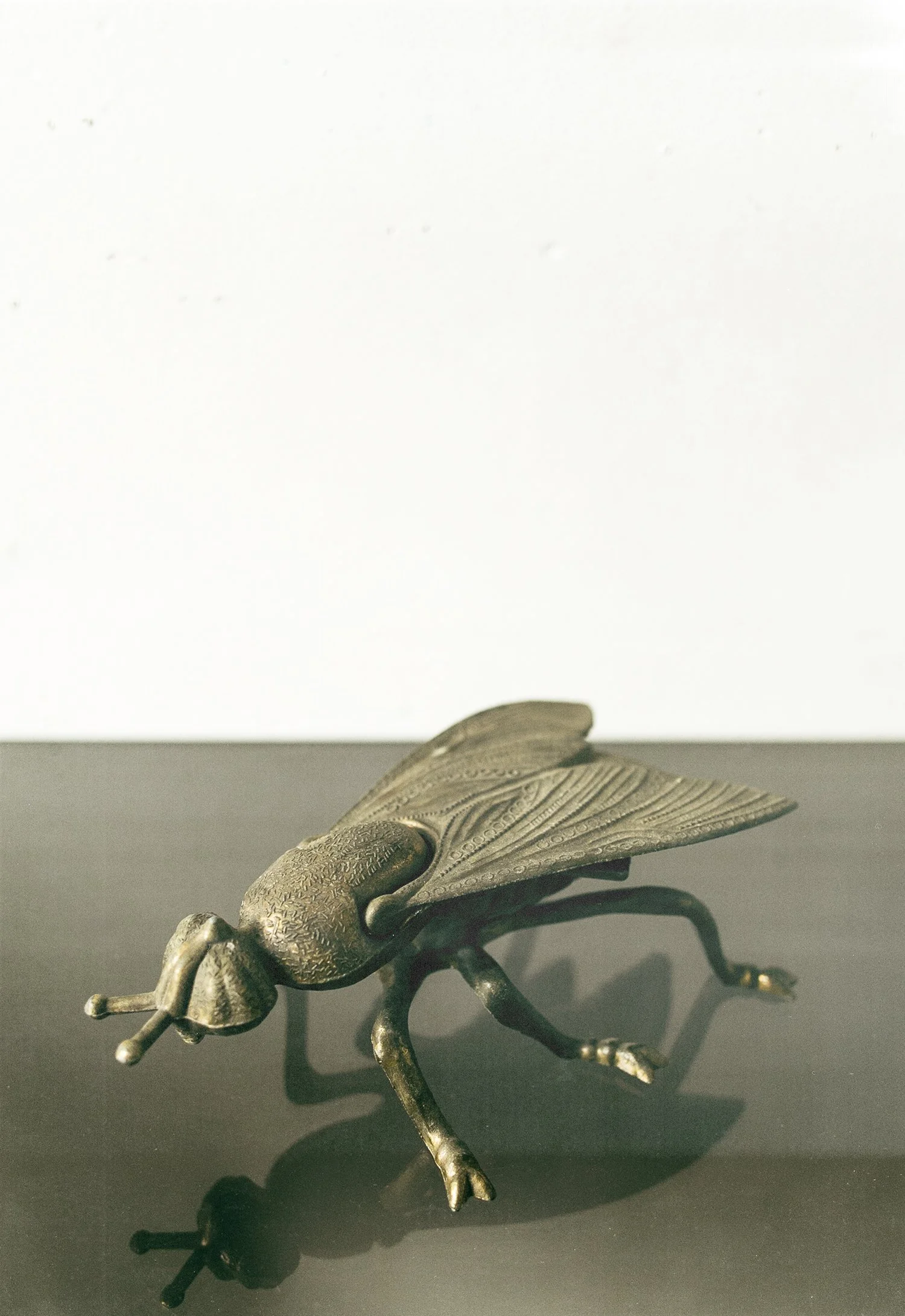 fly2.jpg