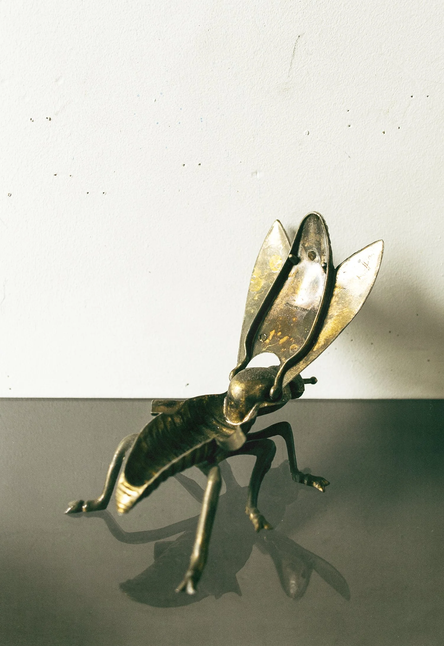 fly3.jpg