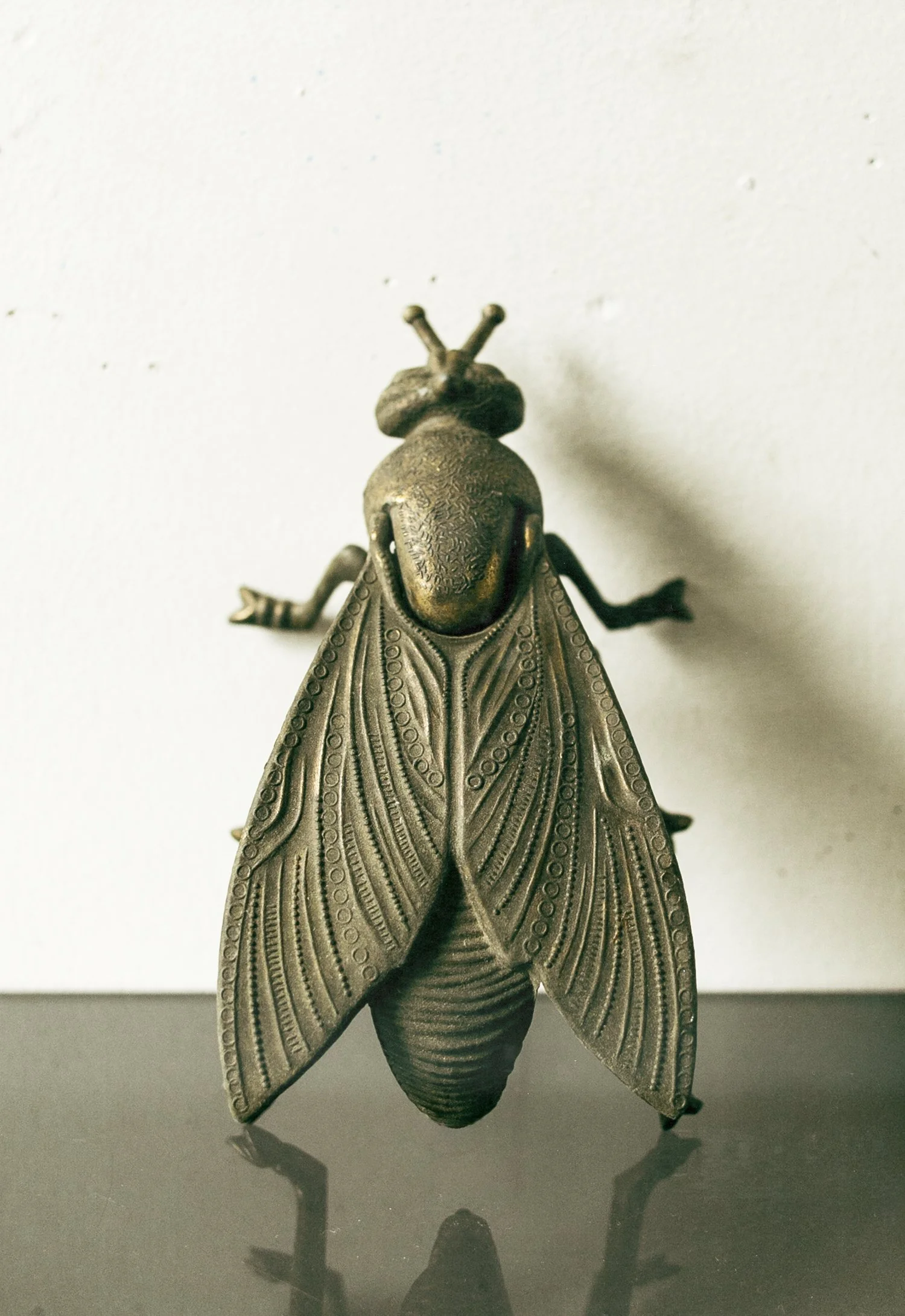 fly1.jpg