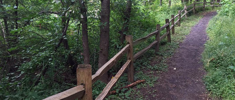 Errol Park Utility Review