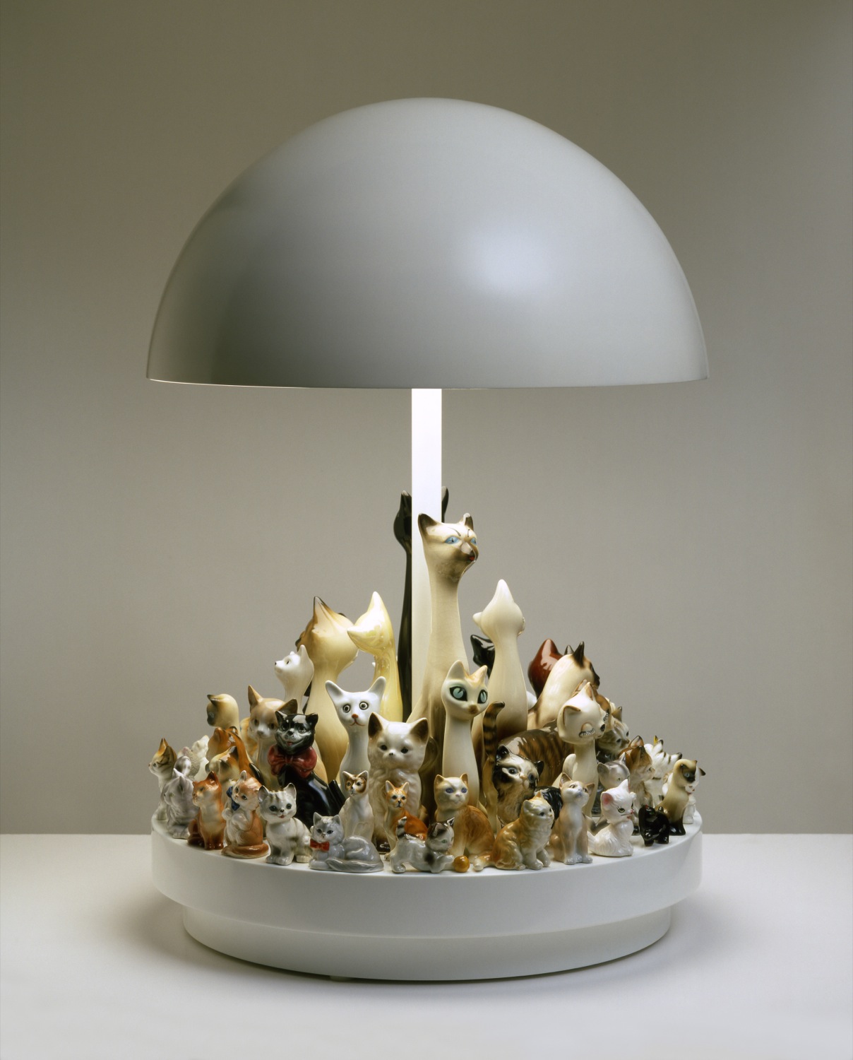 raft-cats_60cm_u.s-copy.jpg