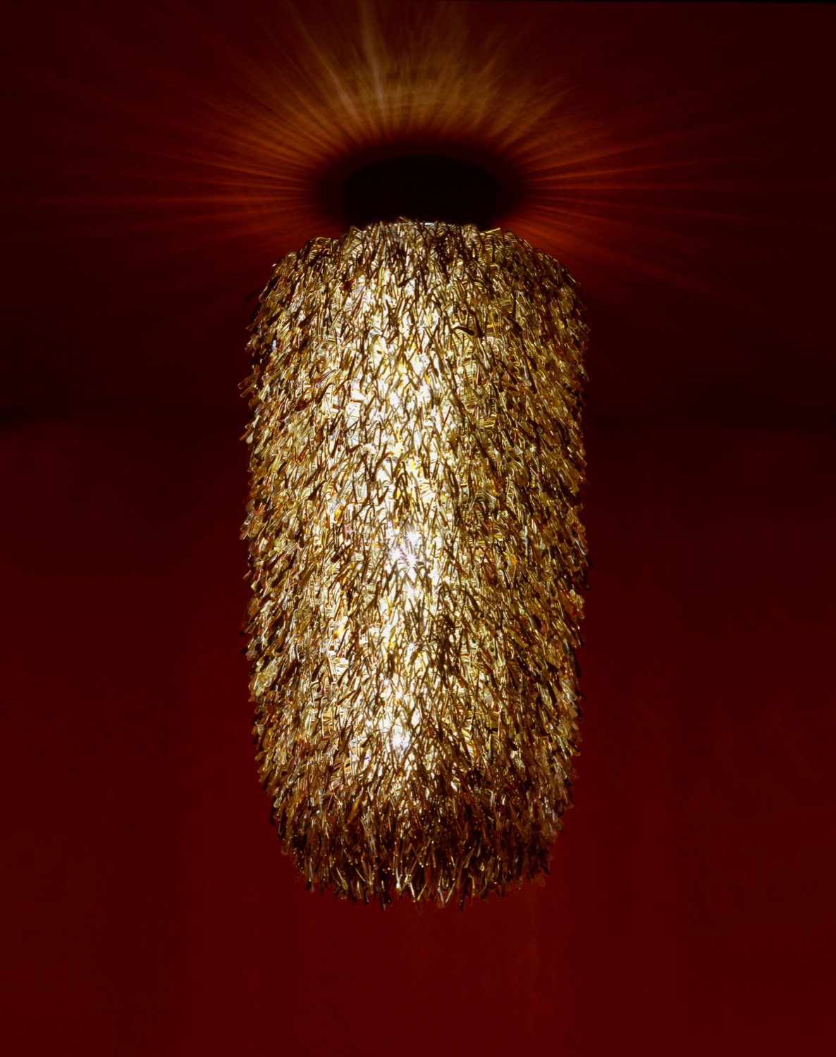 urchin-thin-copy.jpg