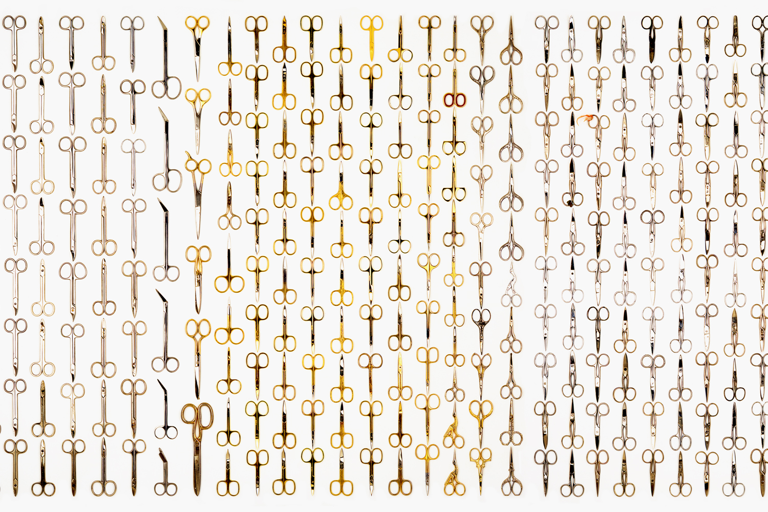 sharps.scissors2-landscape.jpg