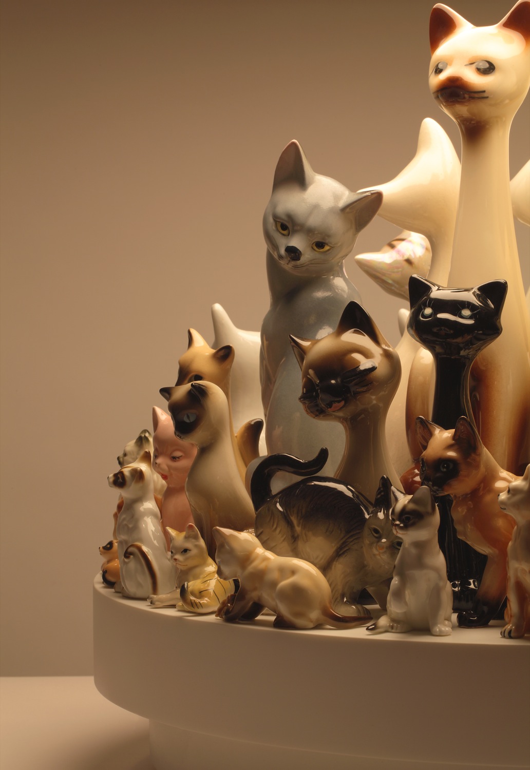 raft-cats-60detail1.jpg