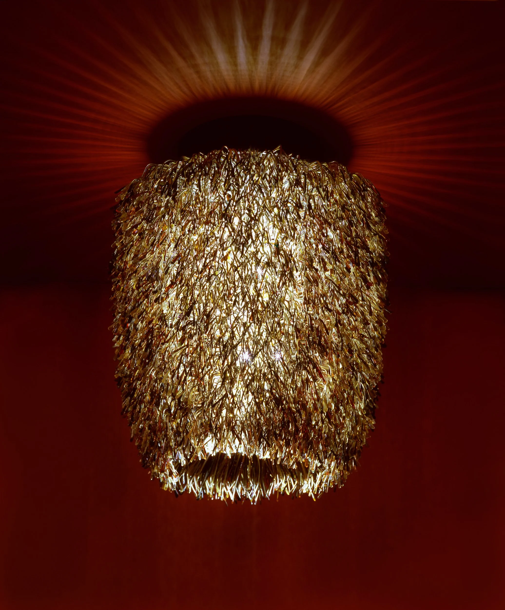 URCHIN(slender) copy.jpg