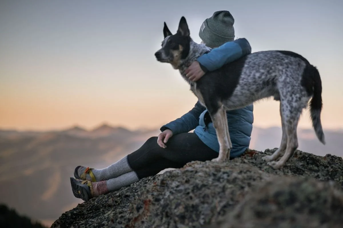 Woman sitting with arm around dog at top of mountain