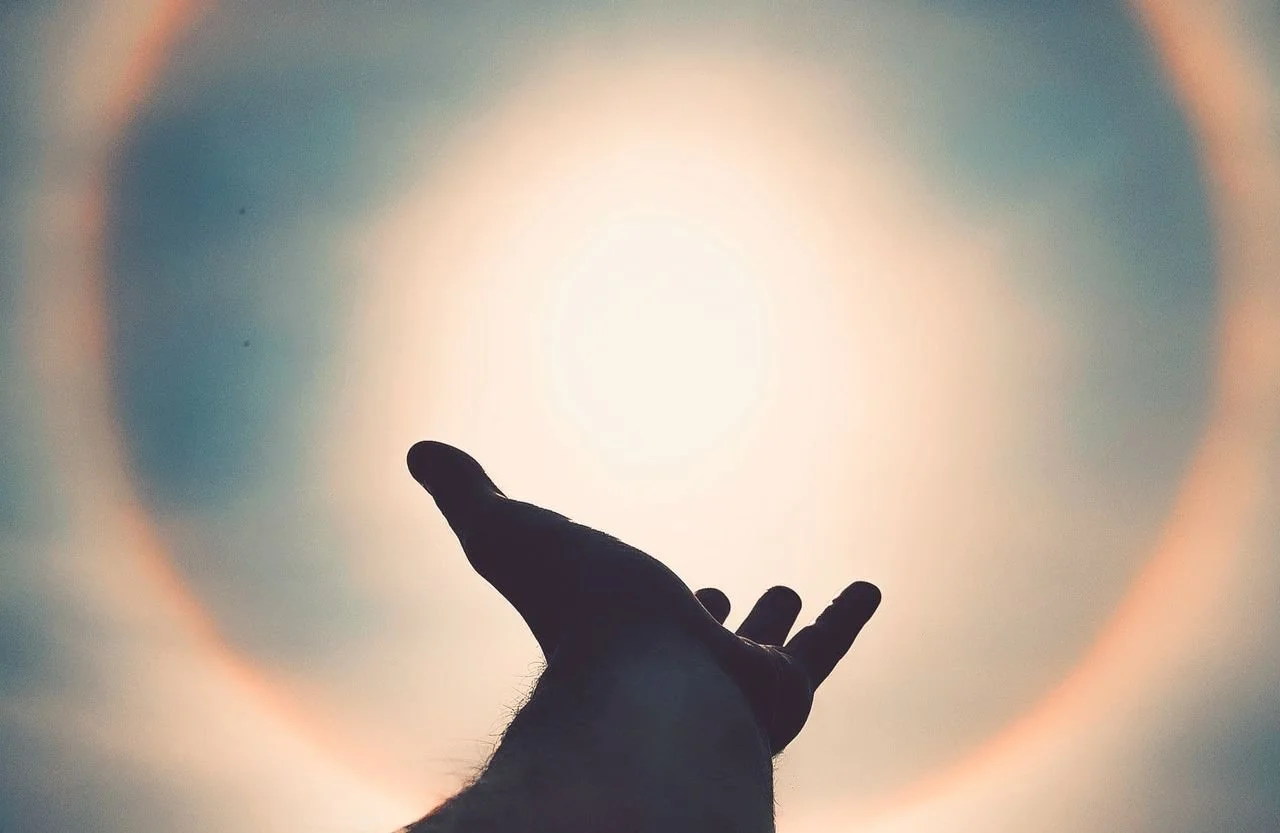 an open hand reaching up towards the sun