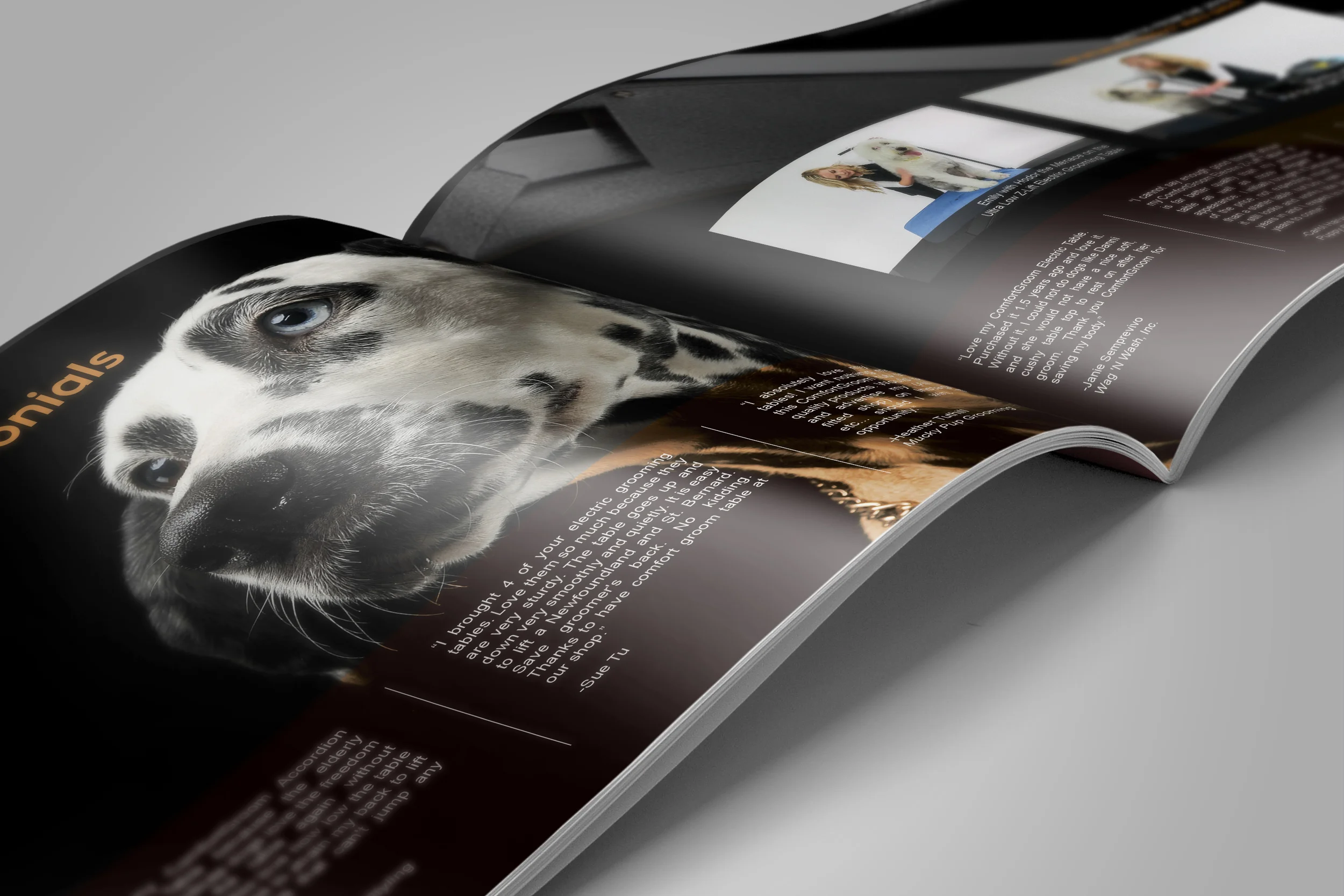 catalog01.jpg