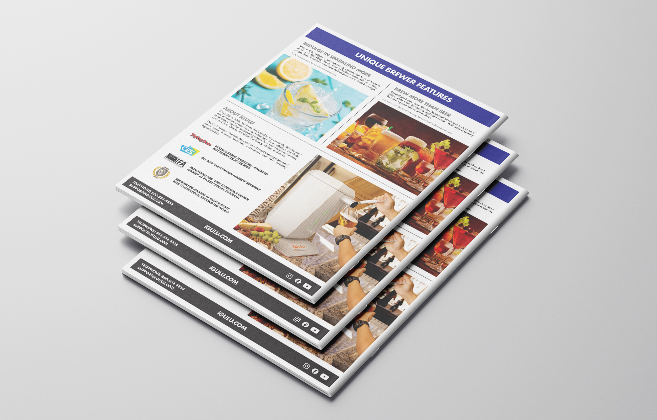 iGulu Brochure 3.png