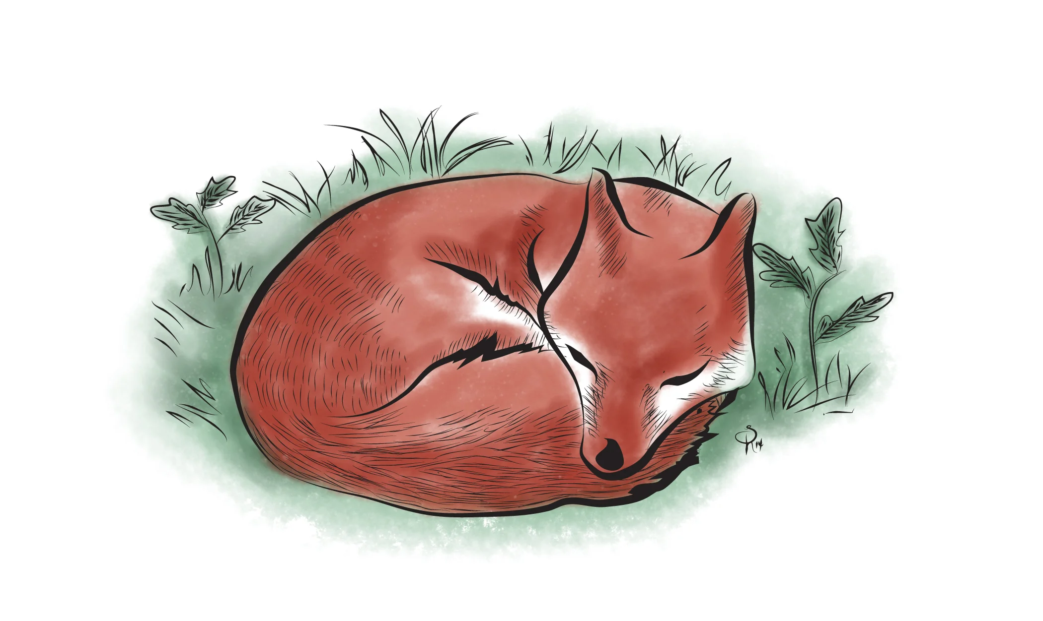 QuietFox.jpg