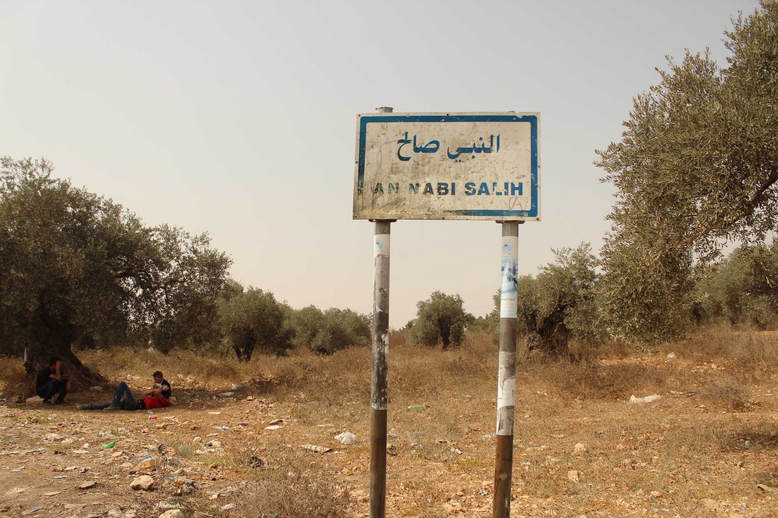 drenge u træ Nabi saleh skilt.JPG