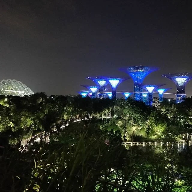 Pretty amazing to take a stroll through #singapore's #gardensbythebay at night. It's quite peaceful and allows for a great view of the city's skyline. #exploringsingapore #worldtraveler