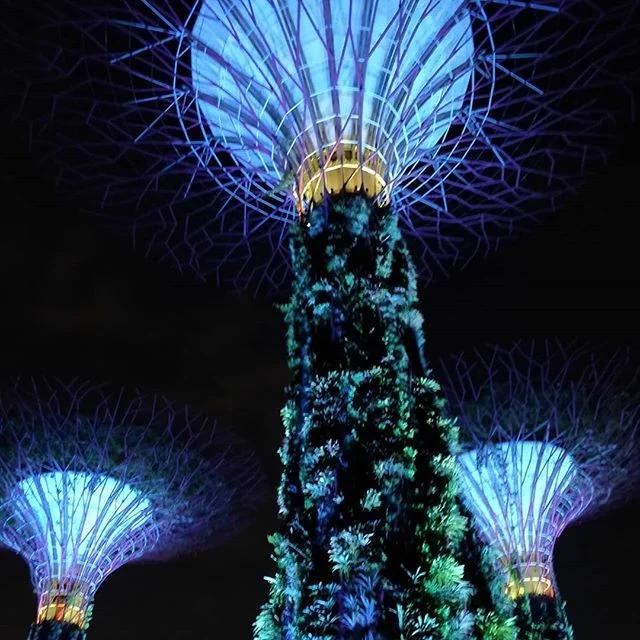 #singapore #gardenbythebay #exploringsingapore #nofilter #tourism