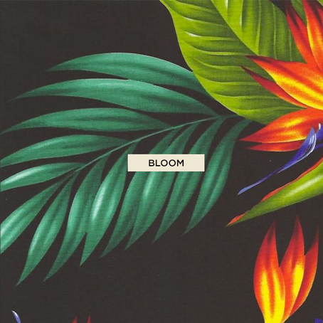 BLOOM