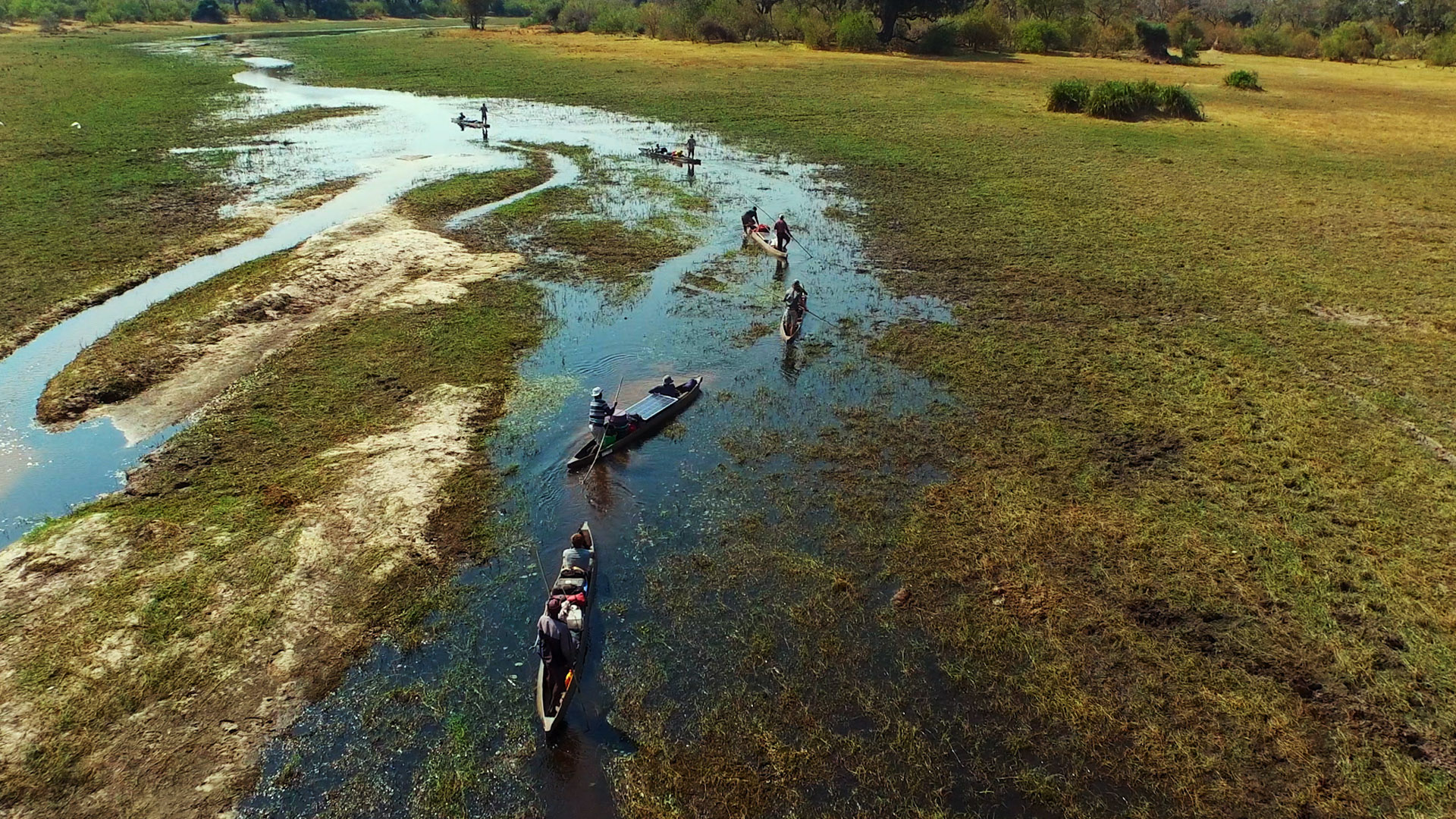 IntoTheOkavango_Trailer_1080p_ProRes_20180412.mov.01_00_42_09.Still005_crop-cc.jpg