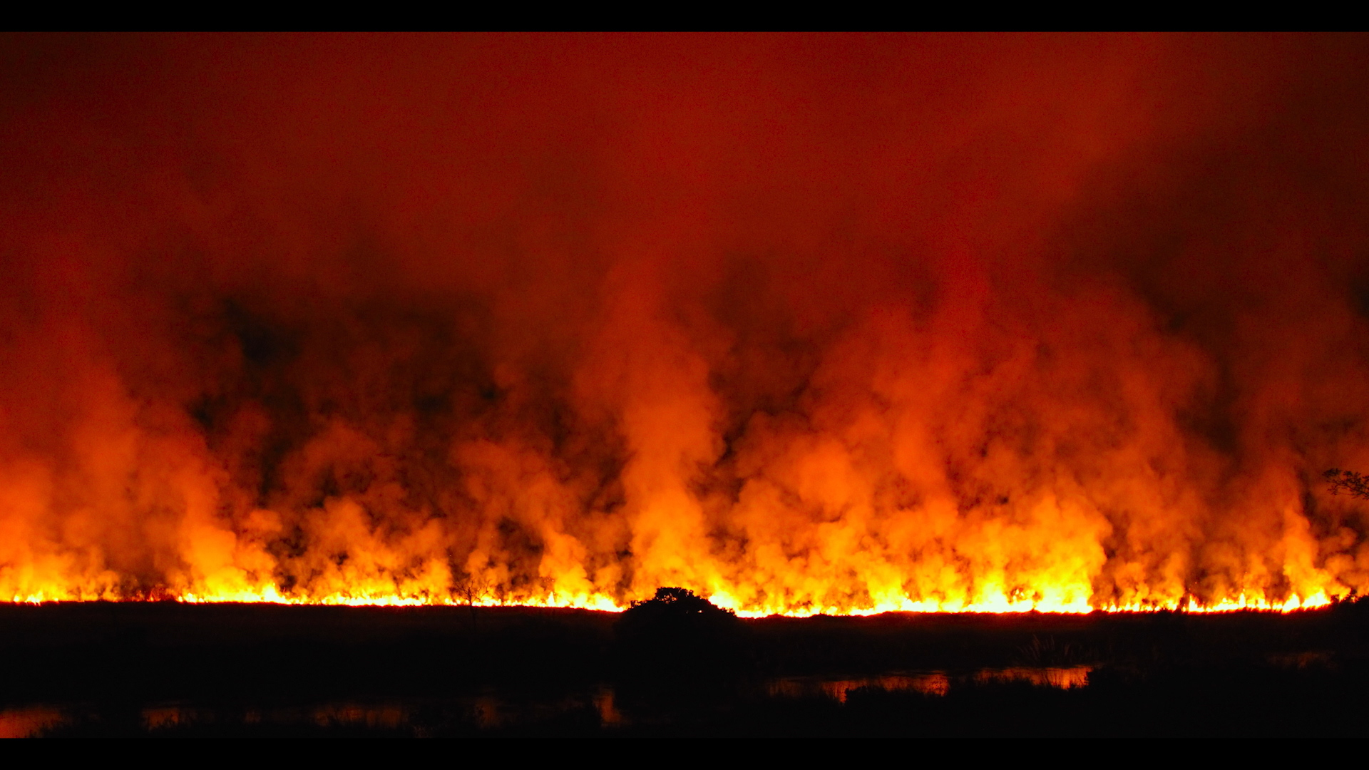 IntoTheOkavango_Trailer_1080p_ProRes_20180412.mov.01_01_47_12.Still012.jpg