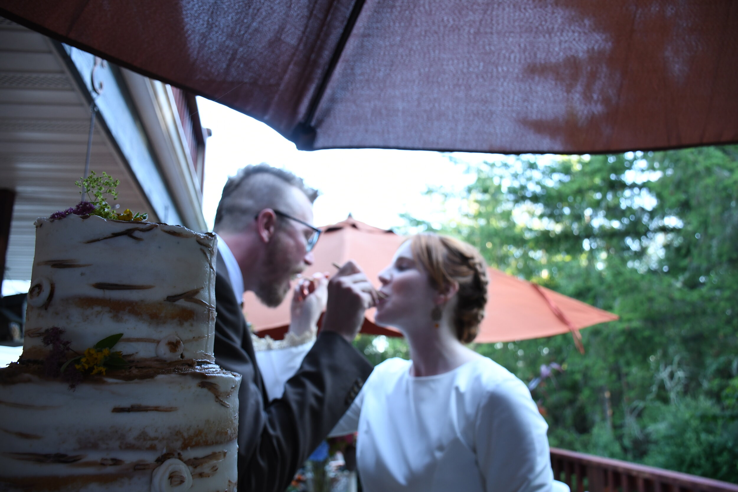 Birch cake and newlyweds