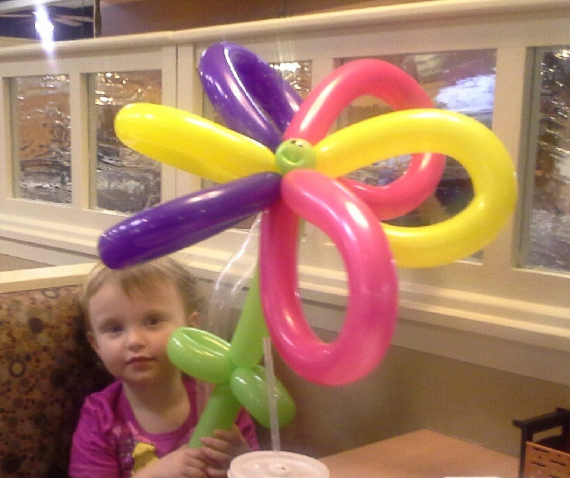 Balloon flower at IHOP