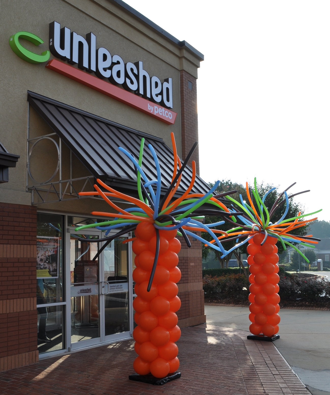 Balloon decor for Petco Unleashed