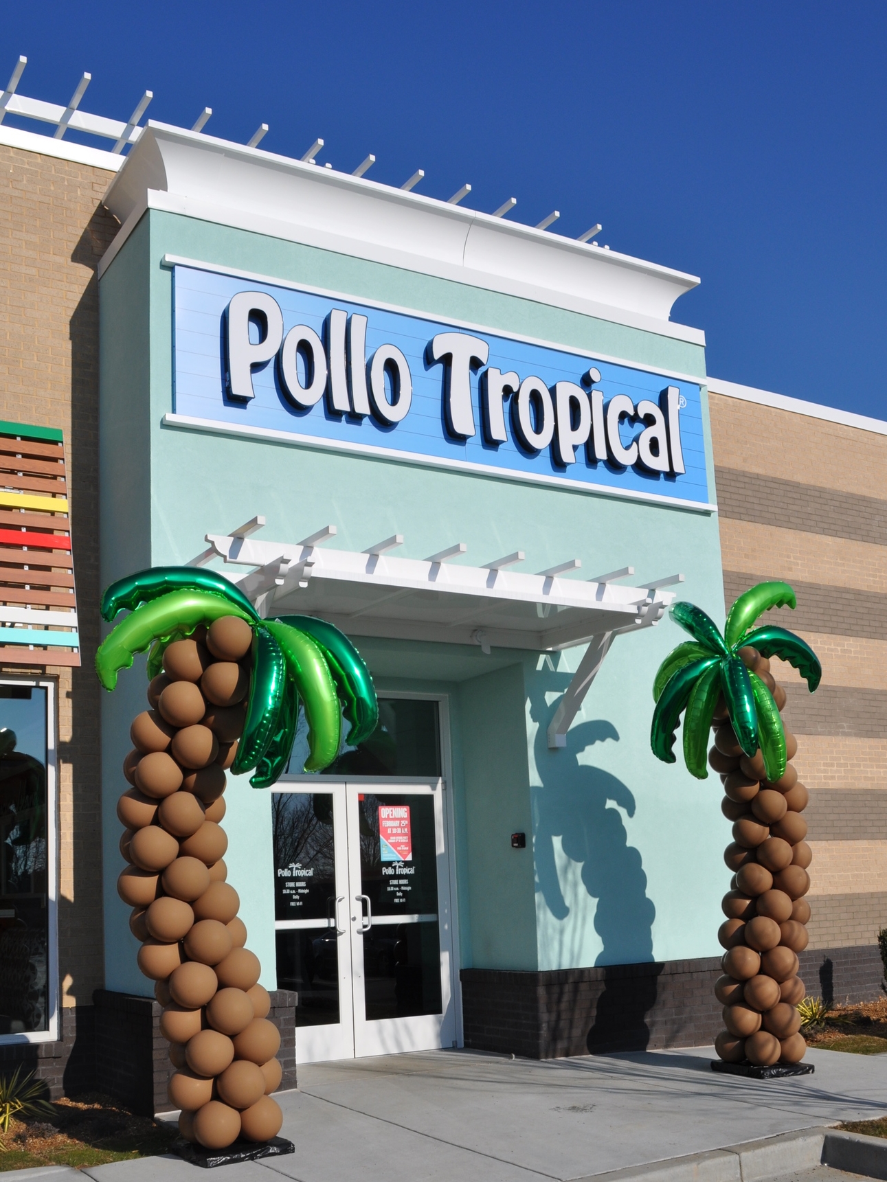 Balloon palm trees for Pollo Tropical