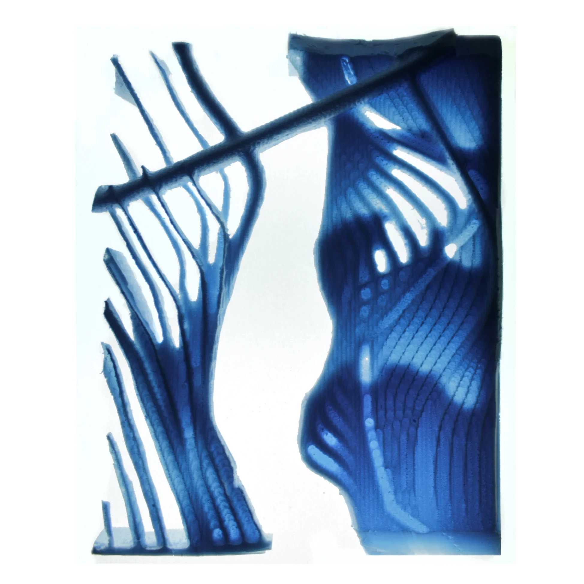 Untitled-1.jpg