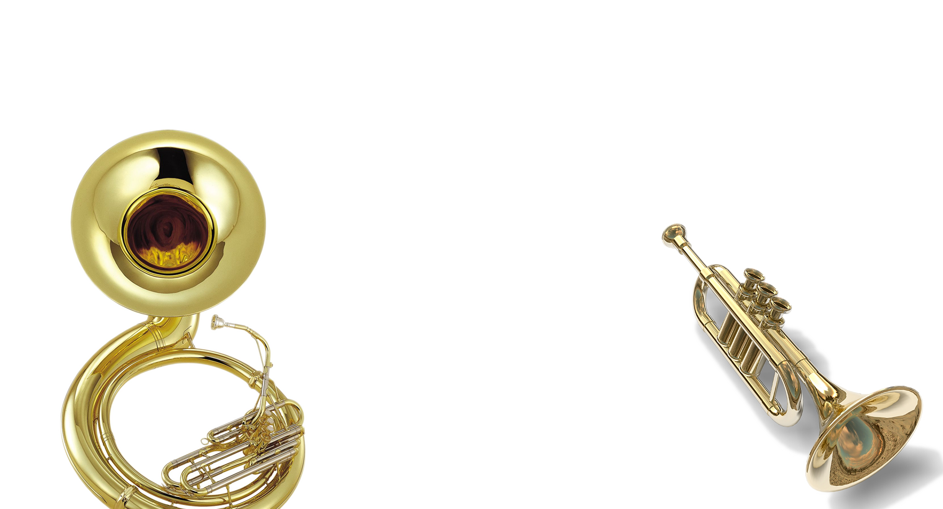 Banda Background.png