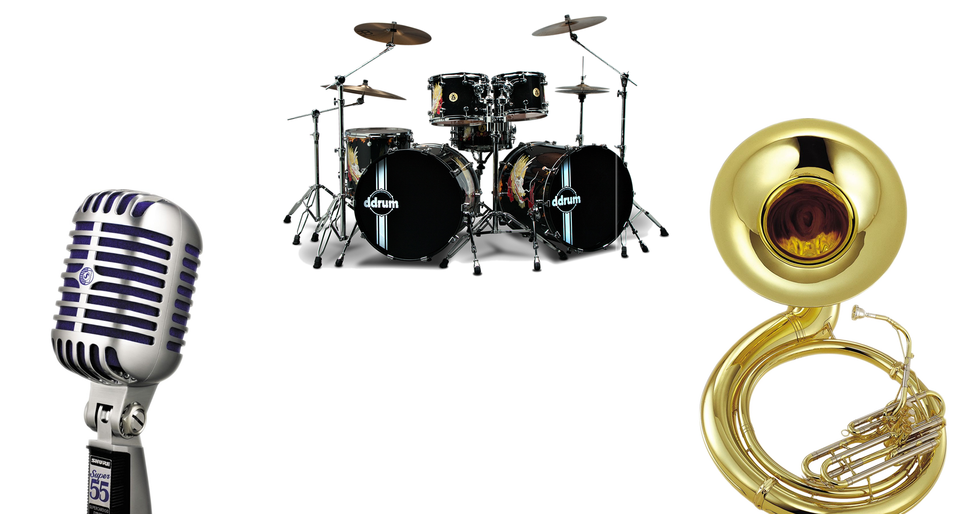 EnViVo Background.png