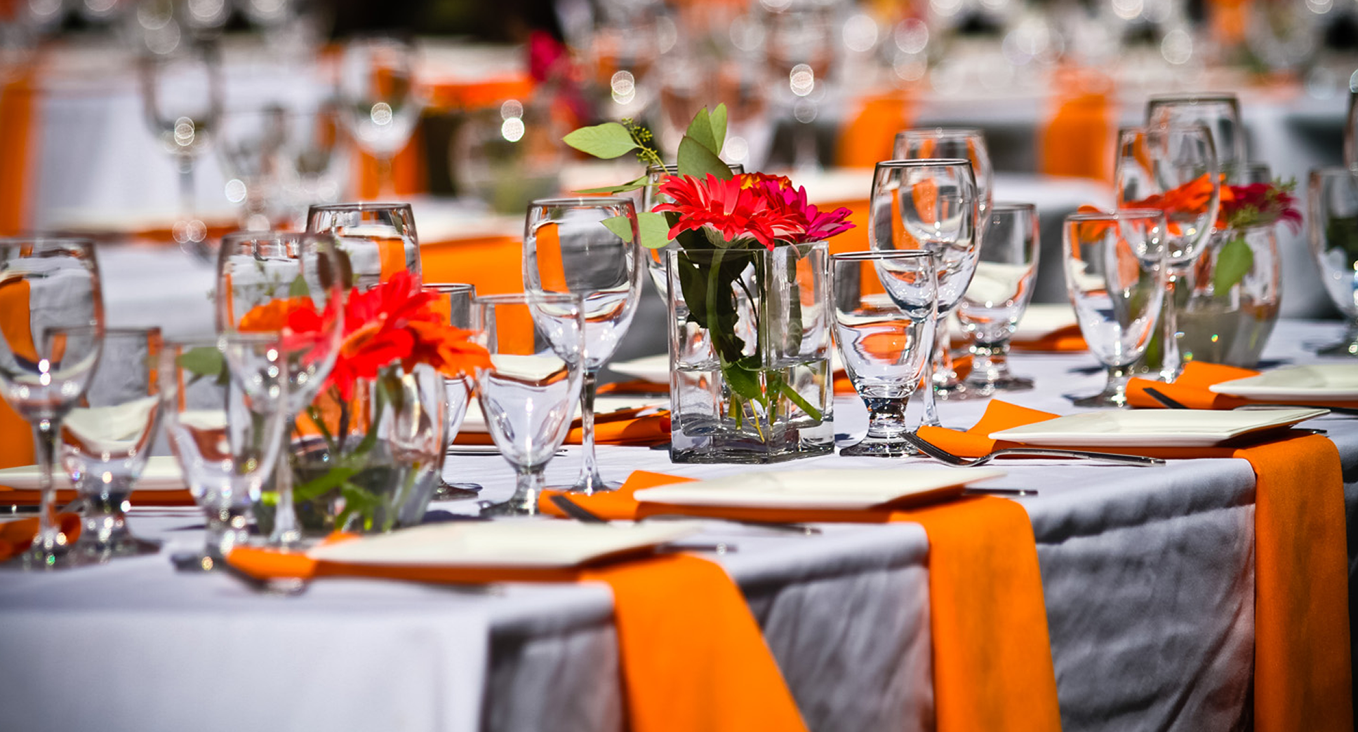 Decoracion Background.png