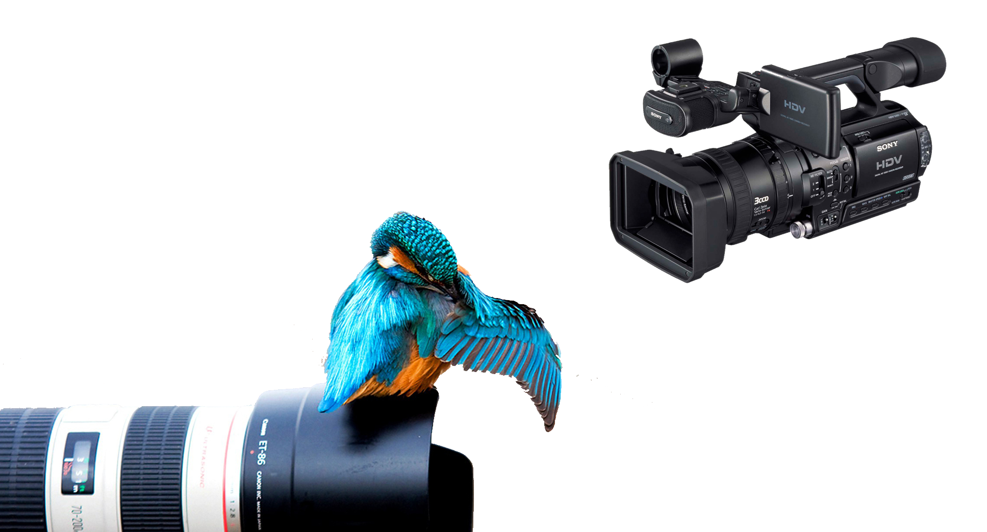 Fotografia y video Background.png