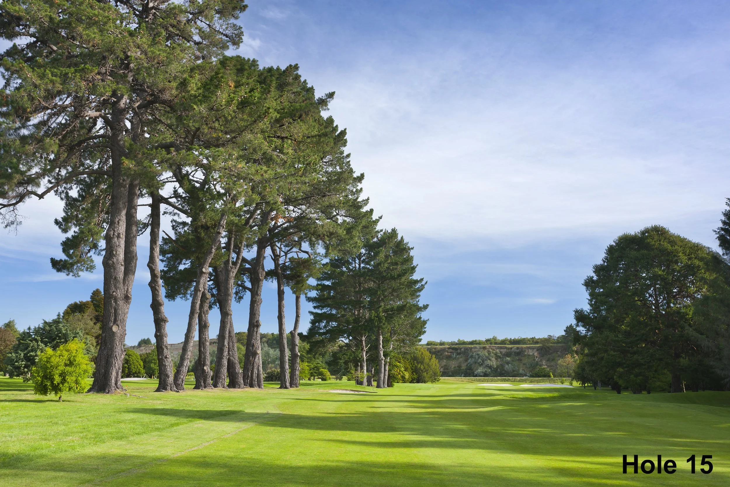Web - Hole 15.jpg
