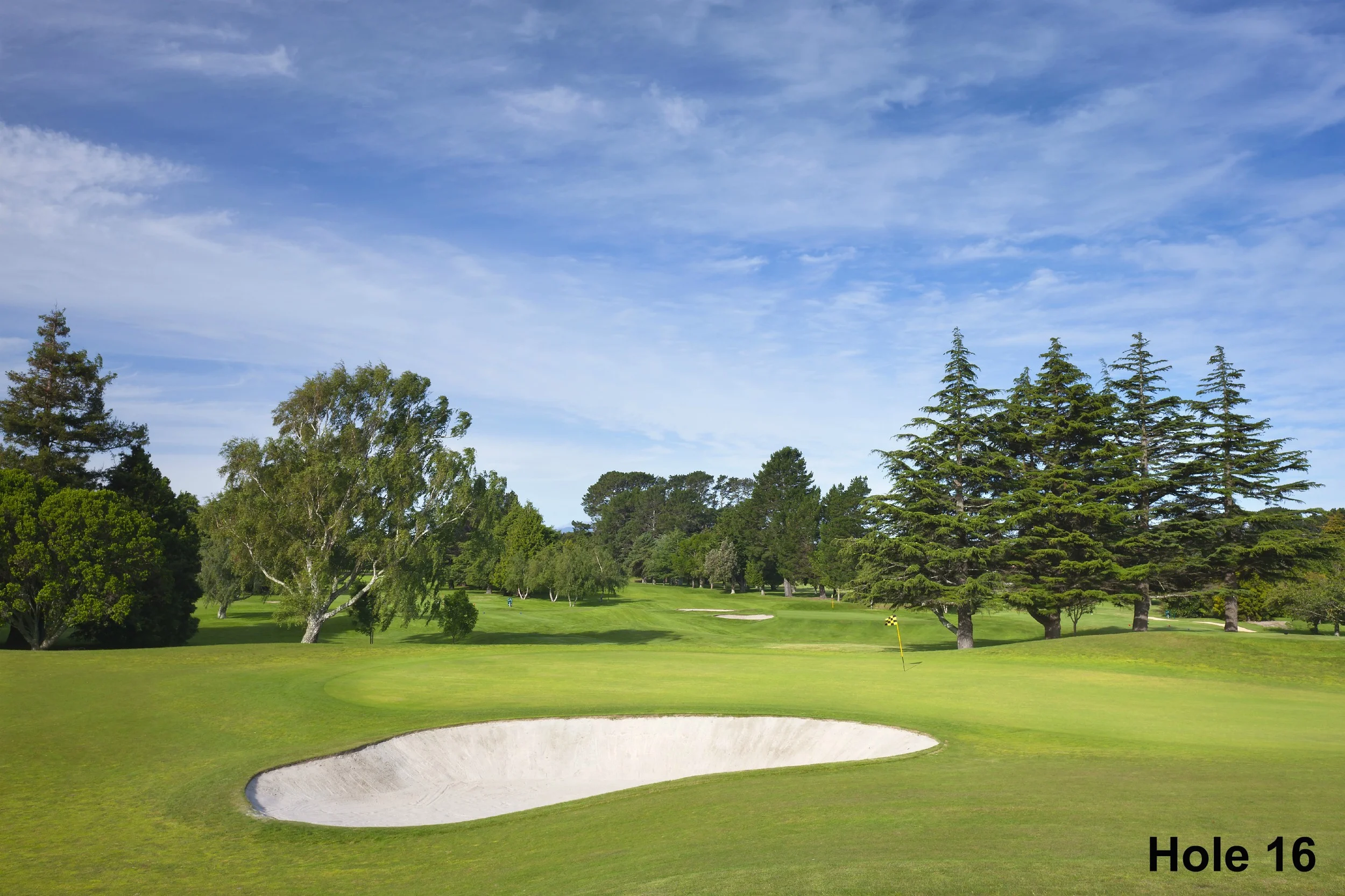 Web - Hole 16.jpg