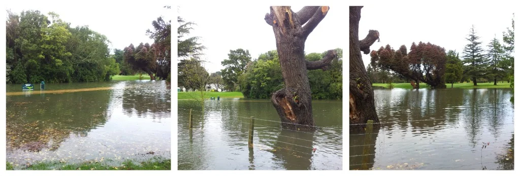  10th Tee