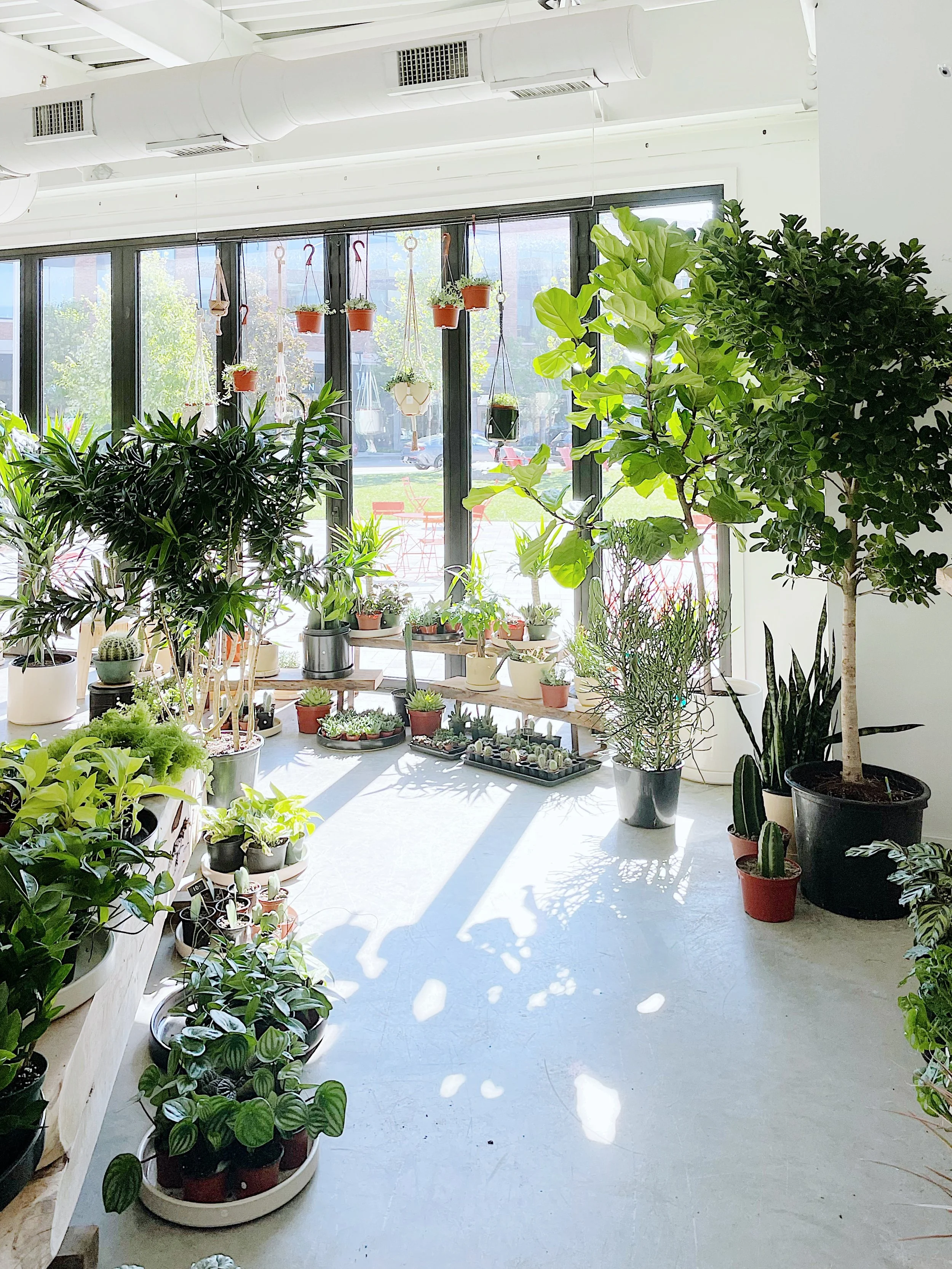 CLEVELAND, OH VAN AKEN DISTRICT — STUMP ‣ PLANTS · WARES · COMMUNITY