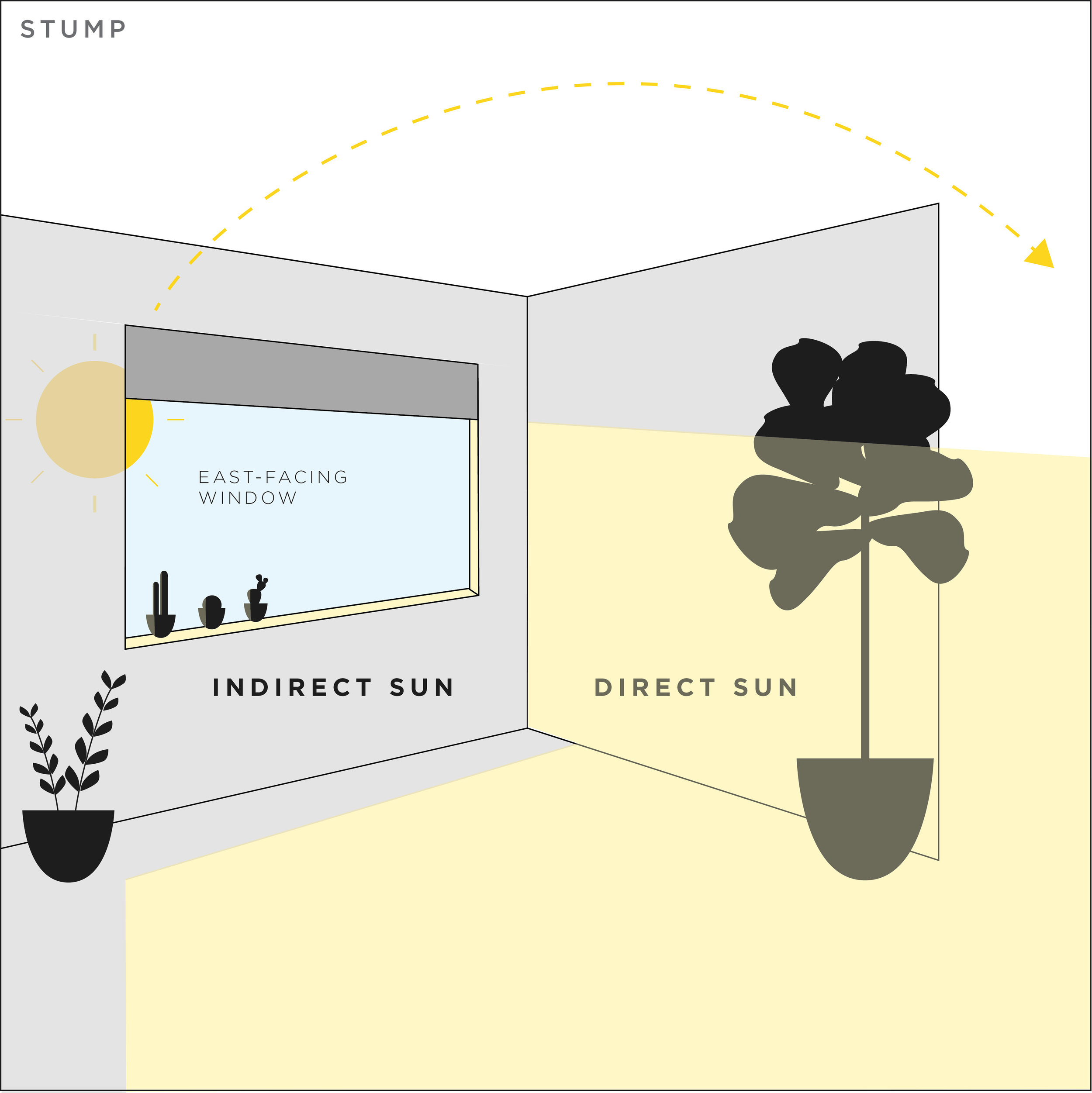 Indirect Sunlight indirect-sunlight