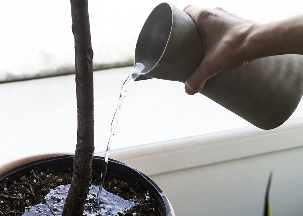 6 - watering.jpg