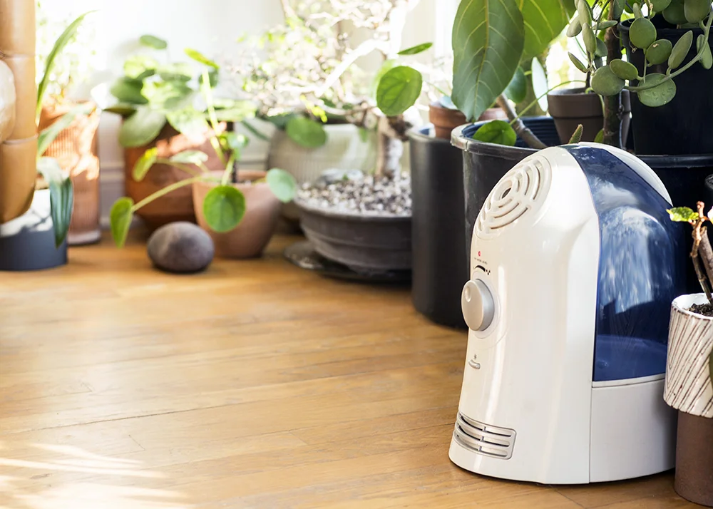 7 - humidifier.jpg