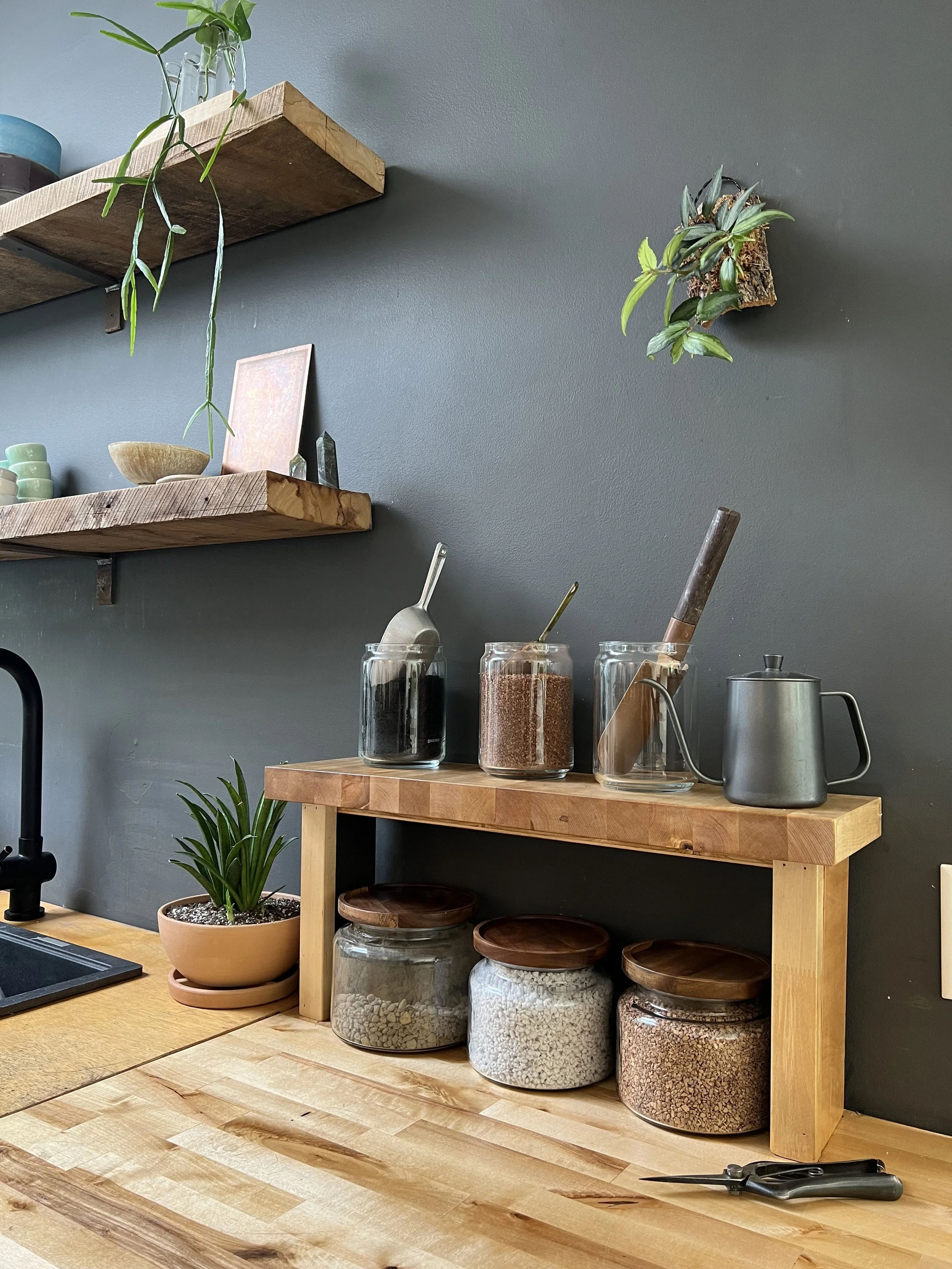 Let's Talk About Potting Mix!