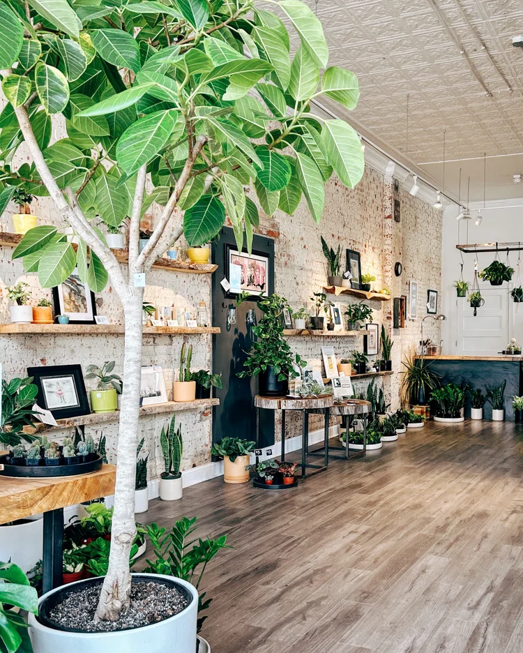 LANCASTER, OH : DOWNTOWN  STUMP PLANTS  WARES  COMMUNITY