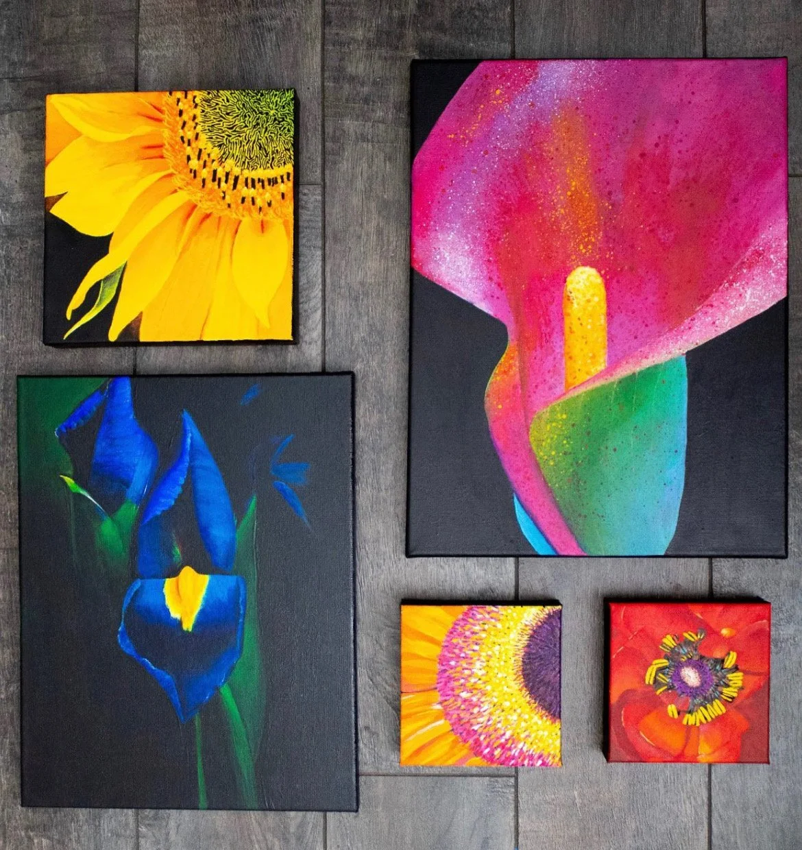 Columbus : German Village : Artist Shelf Takeover : Jena Reif