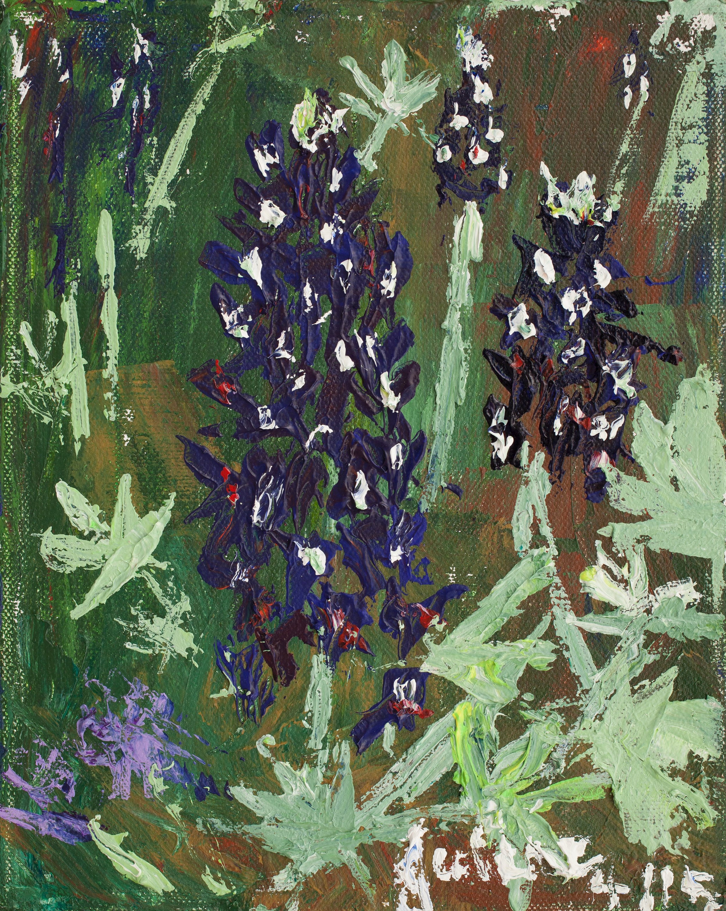 Bluebonnet.jpeg