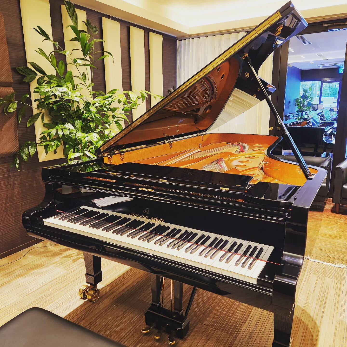 今日はカワイ梅田店にShigeru Kawaiのフルコンの試弾に行ってきました。久しぶりのSKだったので感覚に慣れるのに7、8分かかったのですが、その後は気持ち良すぎ！鍵盤のレスポンスと音の鳴り方が絶妙なバランスで、コントロールしやすく表現の幅を広げてくれるピアノでした。

因みにこのピアノ、仙台国際ピアノコンクールで使用されたもので、このモデルになかでも自信作の個体だそうです。

#shigerukawai #SK-EX #ピアノ #ピアノの魅力