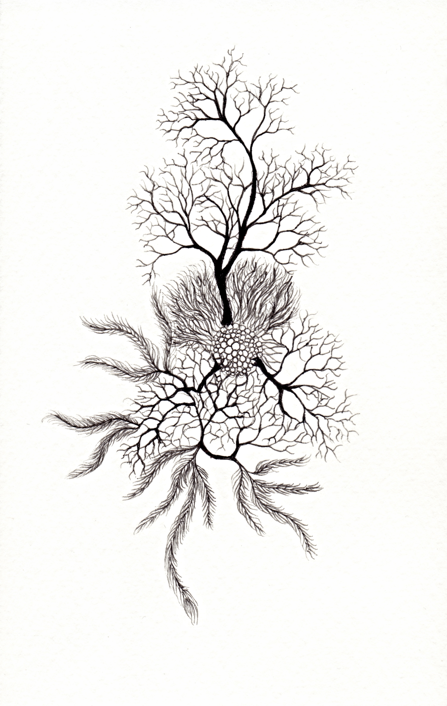 Agency , 2014, Ink on paper, 5.25 x 3.5 in
