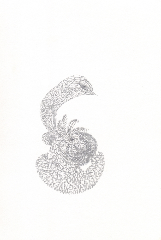 Providence , 2013, Ink on paper, 7 x 5 in