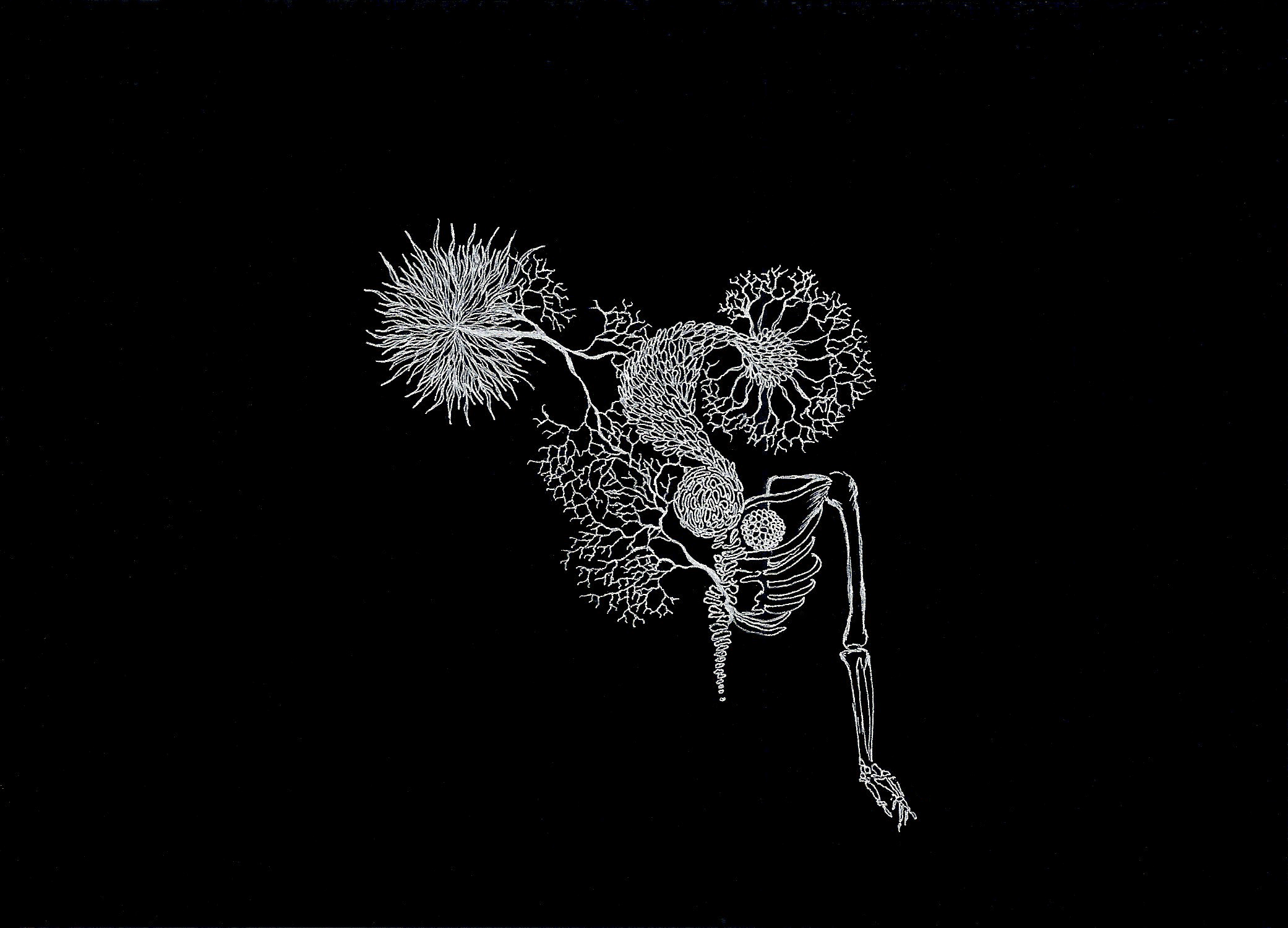 Prescience Triptych , 2015, Ink on black board, 5 x 7 in (I/III)