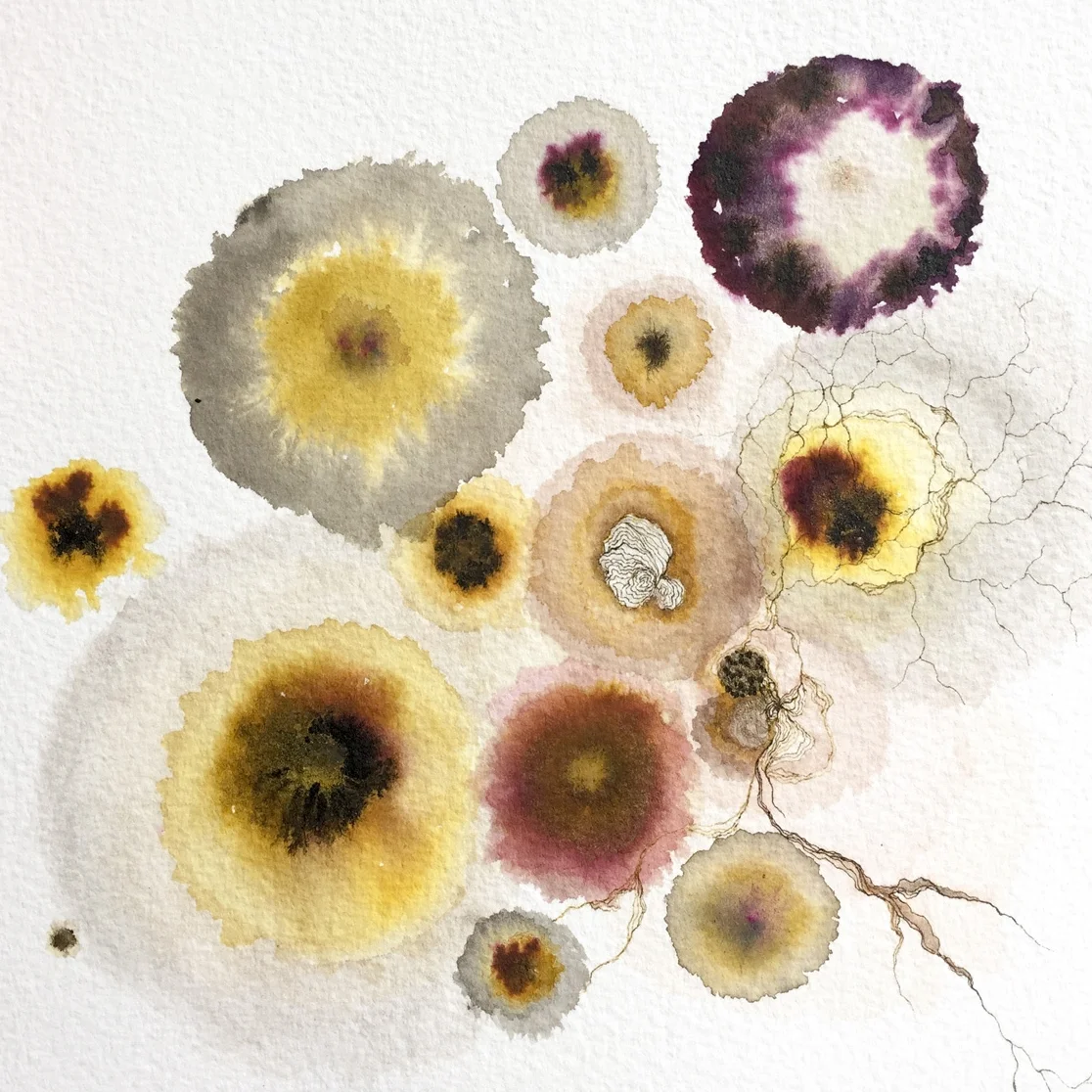 Synthesis , 2016, Ink, gouache and watercolor on Arches, 8 x 8 in